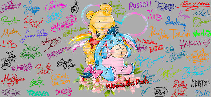 16oz Disney style-D-1304